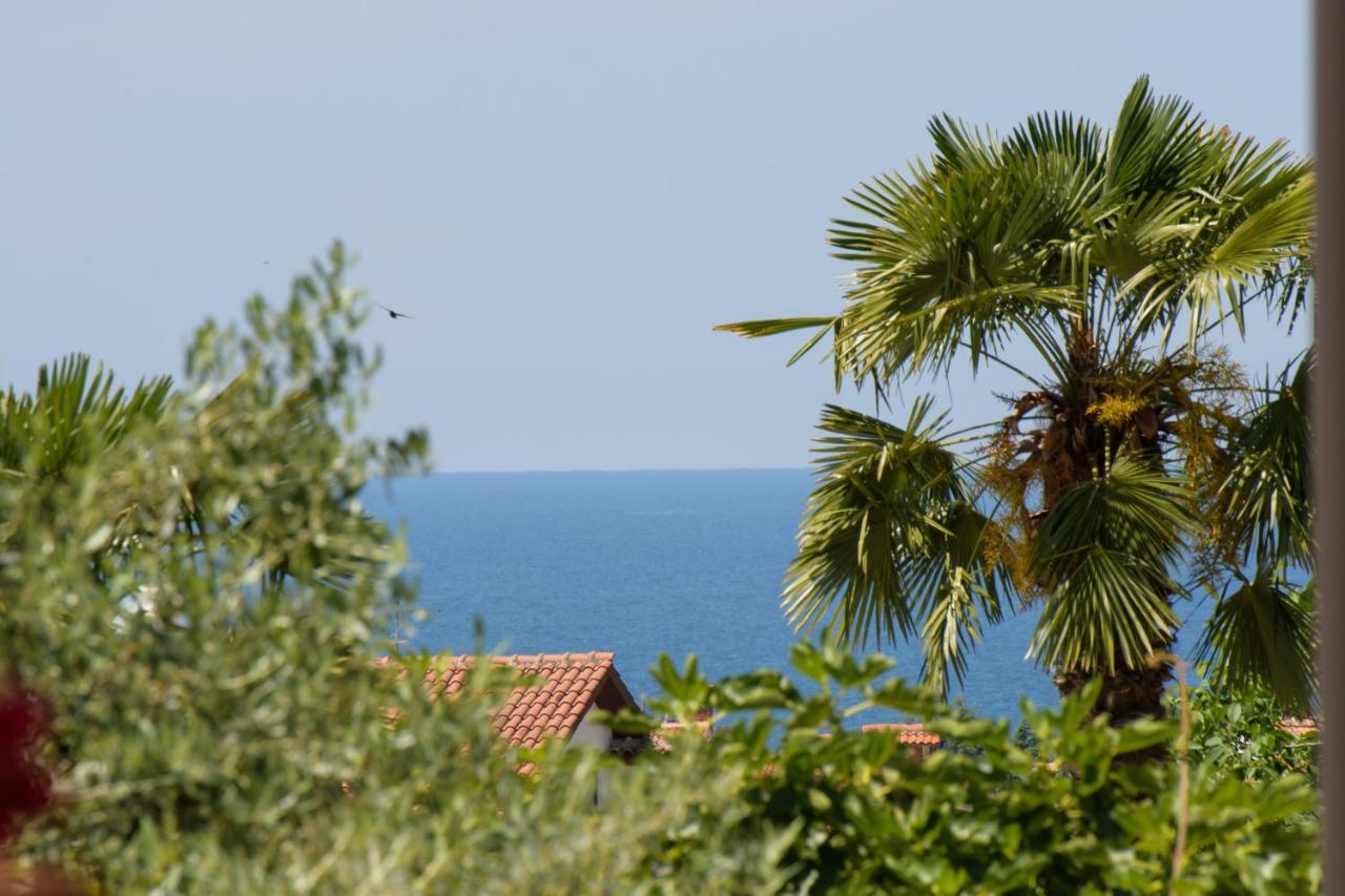 Apartman Palmic Porec